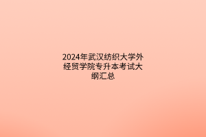 2024年武汉纺织大学外经贸学院专升本考试大纲汇总