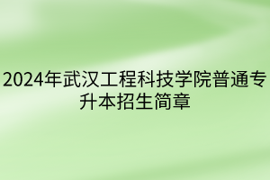 2024年武汉工程科技学院普通专升本招生简章