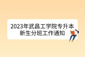 2023年武昌工学院专升本新生分班工作通知