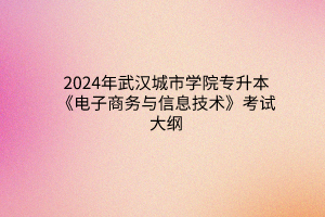 2024年武汉城市学院专升本《电子商务与信息技术》考试大纲