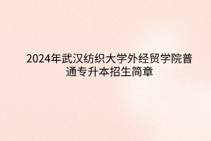 2024年武汉纺织大学外经贸学院普通专升本招生简章