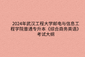 2024年武汉工程大学邮电与信息工程学院普通专升本《综合商务英语》考试大纲