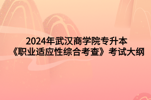 2024年武汉商学院专升本《职业适应性综合考查》考试大纲