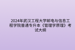 2024年武汉工程大学邮电与信息工程学院普通专升本《管理学原理》考试大纲