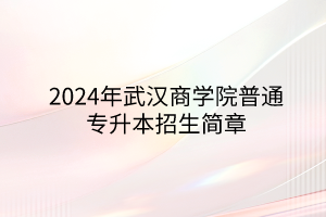 2024年武汉商学院普通专升本招生简章