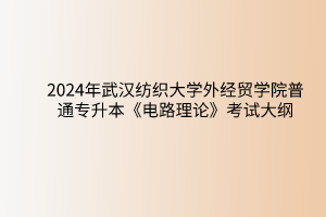2024年武汉纺织大学外经贸学院普通专升本《电路理论》考试大纲