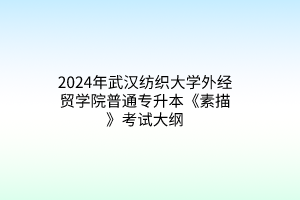 2024年武汉纺织大学外经贸学院普通专升本《素描》考试大纲