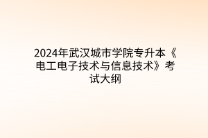 2024年武汉城市学院专升本《电工电子技术与信息技术》考试大纲
