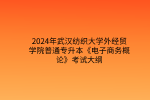 2024年武汉纺织大学外经贸学院普通专升本《电子商务概论》考试大纲