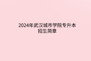 2024年武汉城市学院专升本招生简章