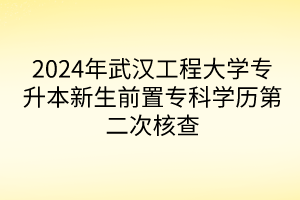 2024年武汉工程大学专升本新生前置专科学历第二次核查