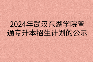 2024年武汉东湖学院普通专升本招生计划的公示