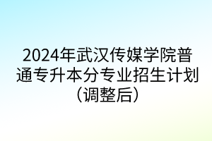 2024年武汉传媒学院普通专升本分专业招生计划（调整后）