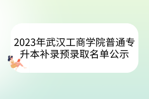 2023年武汉工商学院普通专升本补录预录取名单公示