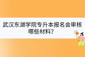 武汉东湖学院专升本报名会审核哪些材料？