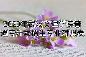 2020年武汉文理学院普通专升本招生专业对照表