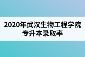 2020年武汉生物工程学院专升本录取率