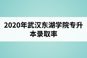 2020年武汉东湖学院专升本录取率