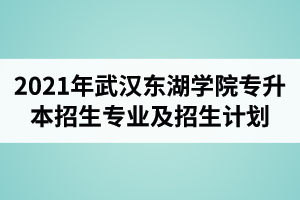2021年武汉东湖学院专升本招生专业及招生计划人数介绍