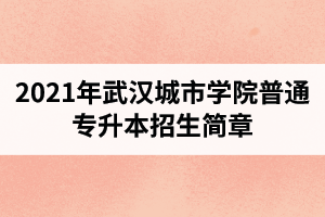 2021年武汉城市学院普通专升本招生简章