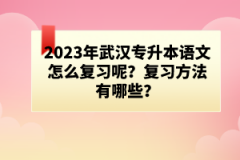 2023年武汉专升本语文怎么复习呢？复习方法有哪些？