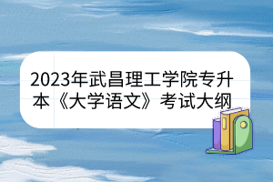 2023年武昌理工学院专升本《大学语文》考试大纲