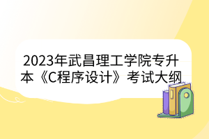 2023年武昌理工学院专升本《C程序设计》考试大纲