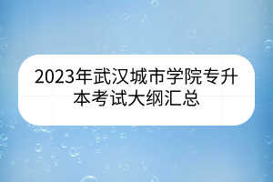 2023年武汉城市学院专升本考试大纲汇总