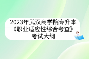 2023年武汉商学院专升本《职业适应性综合考查》考试大纲