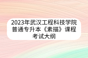 2023年武汉工程科技学院普通专升本《素描》课程考试大纲